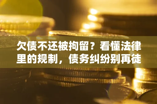 武汉欠债不还被拘留？看懂法律里的规制，债务纠纷别再徒劳奔波
