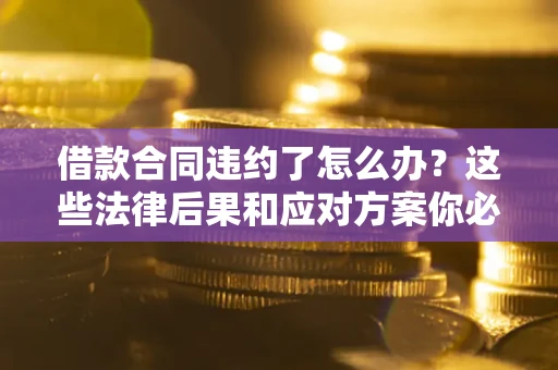 武汉借款合同违约了怎么办？这些法律后果和应对方案你必须知道
