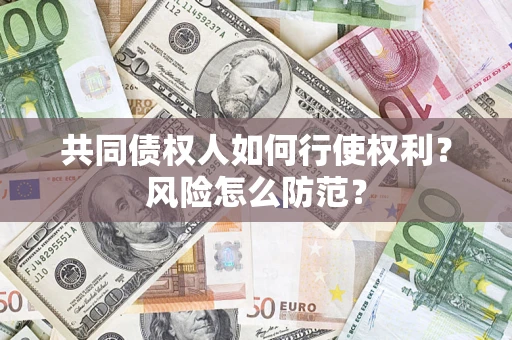 武汉共同债权人如何行使权利？风险怎么防范？