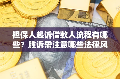 武汉担保人起诉借款人流程有哪些？胜诉需注意哪些法律风险？