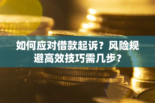 武汉如何应对借款起诉？风险规避高效技巧需几步？