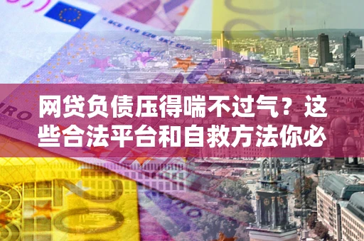 武汉网贷负债压得喘不过气？这些合法平台和自救方法你必须知道！