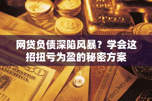 武汉网贷负债深陷风暴？学会这招扭亏为盈的秘密方案